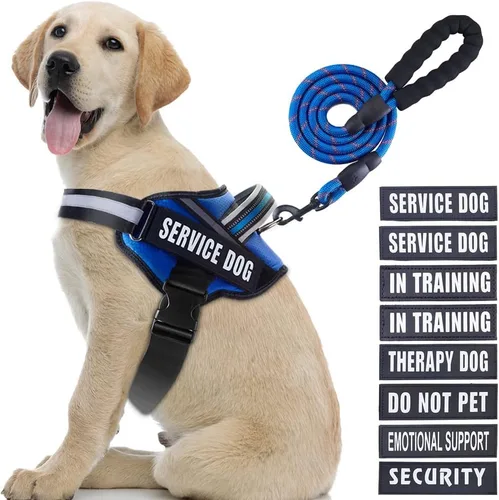 Miniatura 21 de Juego de arnés y correa para perro de servicio, arnés de entrenamiento para perro Animire con 10 parches para perros, correa reflectante para perro