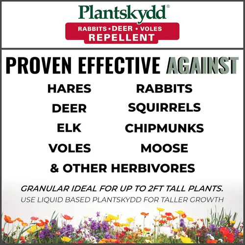 Miniatura 3 de Plantskydd Repelente de animales: repele ciervos, conejos, alces, alces, liebres, ratones, ardillas, ardillas y otros herbívoros; jarra granular