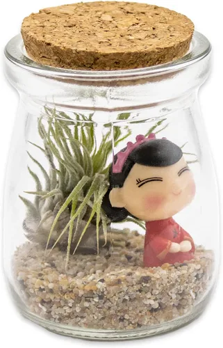 Miniatura 8 de Kit de terrario de 3 pulgadas con mini tarro de vidrio de Tillandsia Ionantha vivo, arena, vidrio marino de colores y figura miniatura para jardines