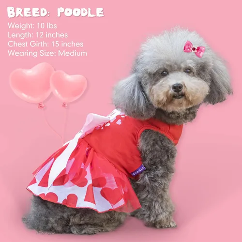 Miniatura 6 de cyeollo Vestido para perro para el día de San Valentín, ropa de vacaciones para perros con estampado de corazón, vestidos de tul para perros