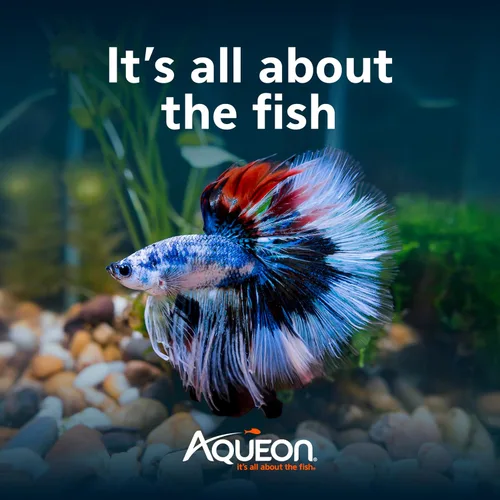Miniatura 8 de Aqueon Kit de Acuario Pequeño LED MiniBow con Tecnología SmartClean, Azul, 1 Galón