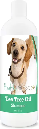 Miniatura 94 de Healthy Breeds Doberman Pinscher Champú de aceite de árbol de té, formulado para piel seca e irritada, reduce la caspa, aroma a gaulteria, 8 onzas