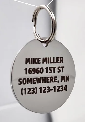 Miniatura 4 de Etiquetas de identificación de acero inoxidable Dr. Fremont's para perros grabadas, personalizadas para collar de gato o perro, fuente audaz