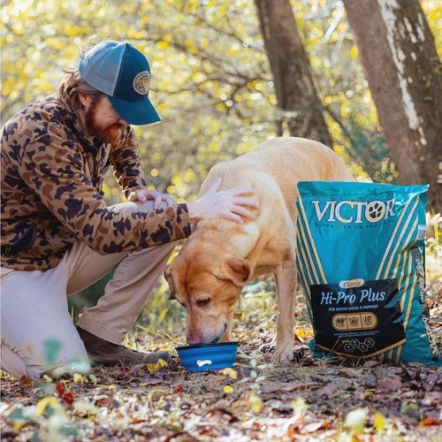 Miniatura 3 de VICTOR Super Premium - Alimento para perros Hi-Pro Plus - Comida seca para perros con alto contenido de proteínas con 30% de proteínas, carne