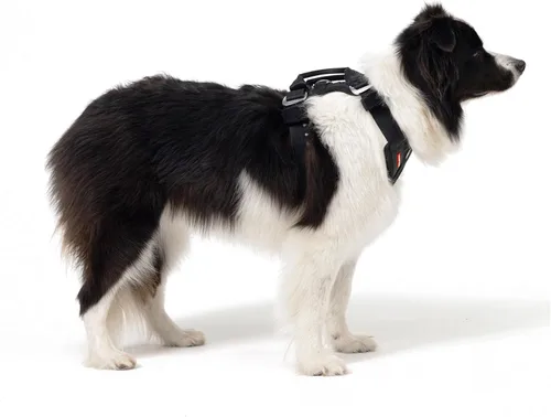 Miniatura 6 de Arnés de coche para perros EzyDog Drive – Arnés de cinturón de seguridad para perros a prueba de choques y certificado (US-FMVSS 213) para viajes