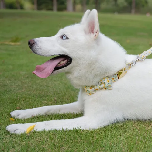 Miniatura 4 de Tunkoo - Collar para perro floral con elegante moño de lazo, collar suave y cómodo de algodón ajustable, hebilla de metal premium para cachorros
