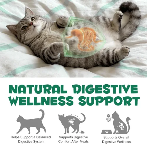 Miniatura 8 de ALIVO Polvo de carbón activado para perros, gatos, suplemento de salud en polvo de carbón activado, apoya el bienestar digestivo y la frescura oral