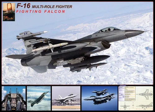 Miniatura 2 de EuroGraphics F-16 Fighting Falcon Puzzle (1000 piezas), modelo: 6000-4956