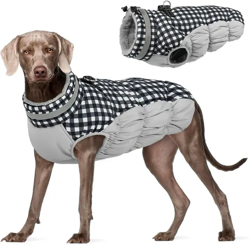 Miniatura 20 de FUAMEY - Chaqueta de invierno para perro, chaleco acolchado con arnés, ropa cálida para mascotas, abrigo con cremallera, impermeable, para perros