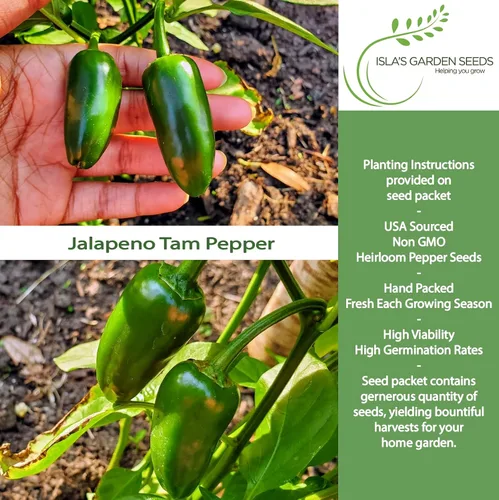 Miniatura 2 de Semillas de pimientos picantes Jalapeño Tam para plantar, más de 50 semillas tradicionales por paquete, semillas de jardín de Isla