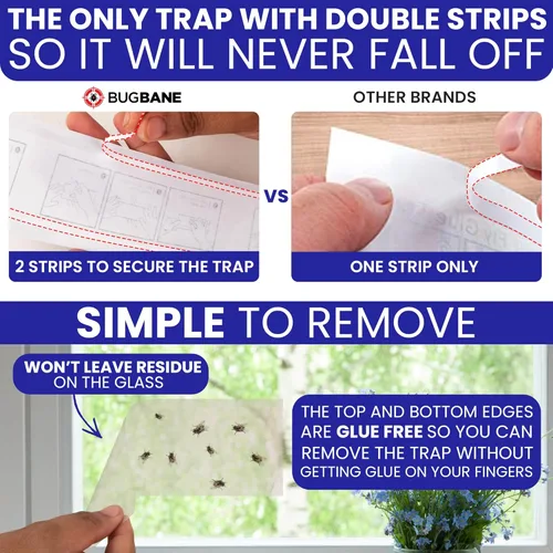 Miniatura 6 de 50 Trampas Adhesivas para Moscas de Ventana No Tóxicas Transparentes Papel Antimoscas Interior para el Hogar. Sin Desorden Trampas Adhesivas