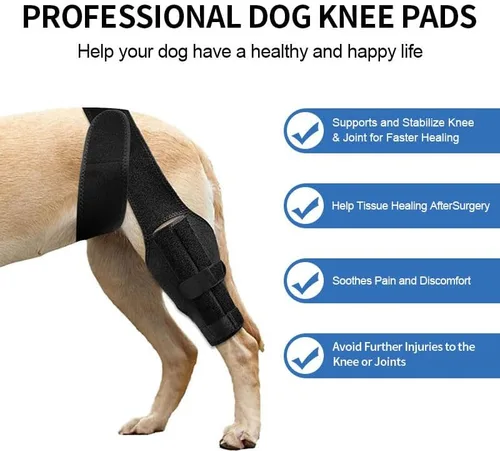 Miniatura 3 de Rodillera trasera ajustable y segura para perros - Rodillera trasera para perros - Envoltura de fácil ajuste para estabilidad de articulaciones