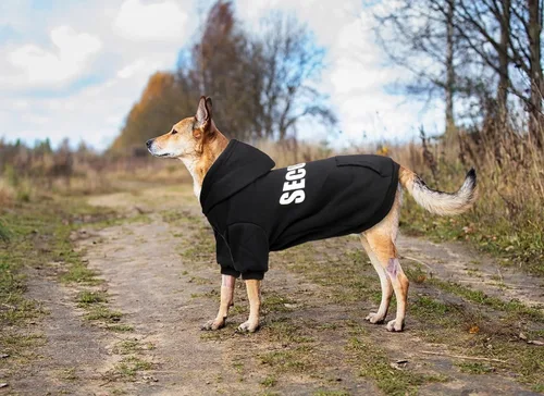 Miniatura 6 de Sudadera con capucha para perro, suéter de seguridad para perro, suave forro polar cepillado, sudadera con capucha con bolsillo para perros medianos