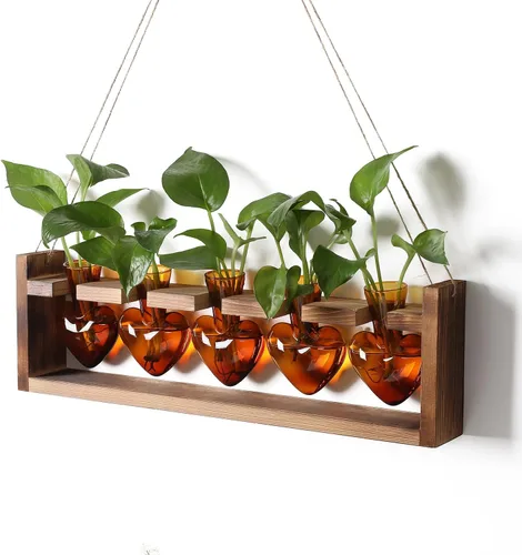 Estaciones de propagación colgantes de terrario para plantas, regalo para mujeres, soporte para plantas de aire con soporte de madera, cristal de