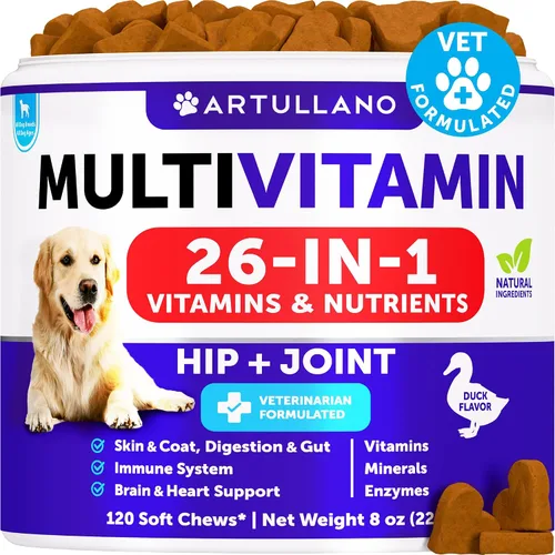 Multivitamínico masticable para perros con glucosamina 26 en 1 - Vitaminas y suplementos para perros - Multivitamínico para perros mayores y