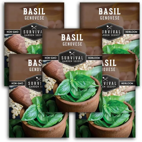 Miniatura 11 de 1 paquete de semillas de albahaca genovesa para plantar con instrucciones para cultivar deliciosas hierbas italianas en el huerto de tu hogar