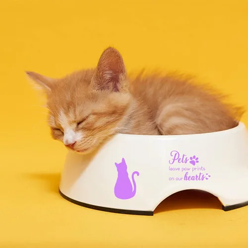 Miniatura 8 de INFUNLY Sellos Transparentes de Mascotas para Hacer Tarjetas, Sellos de Silicona Transparente Perro + Gato, Sellos de Goma para DIY, Álbum