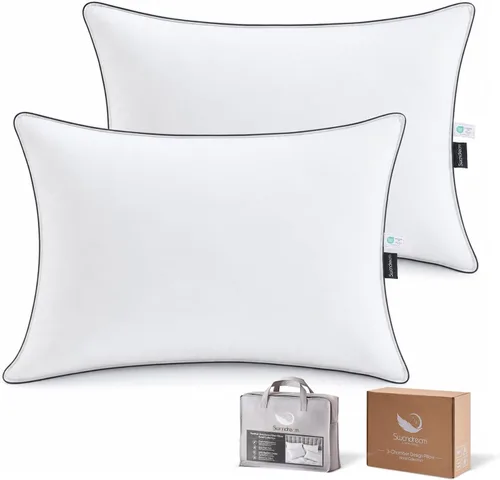 Juego de 2 almohadas de plumas de ganso y plumón de tamaño estándar, almohadas de lujo de 3 cámaras con funda suave y a prueba de plumón, almohadas