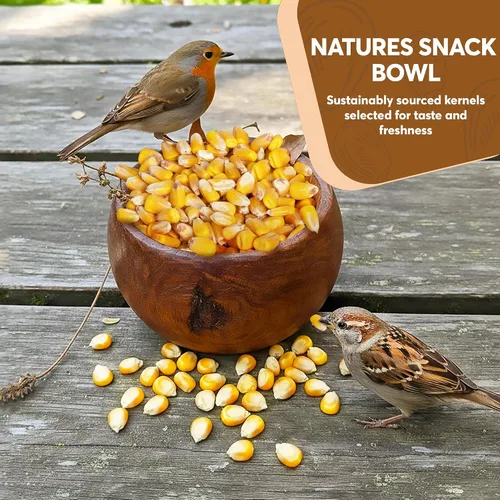Miniatura 4 de Maíz entero de 10 libras - Semillas de aves y alimento para vida silvestre premium para patos, ciervos, ardillas, pollos y pavos - Maíz entero
