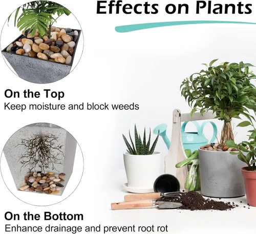 Miniatura 4 de GASPRO Rocas de río naturales de 8 libras para paisajismo, rocas decorativas para plantas en macetas y acuarios, piedras de río pulidas