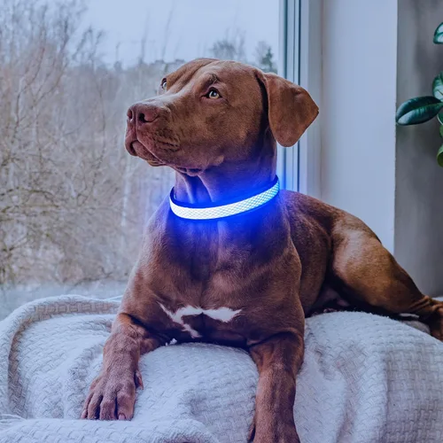 Miniatura 7 de Collar de perro LED, collar de perro con luz USB recargable, luces de perro más brillantes para caminar por la noche, collar de perro ajustable