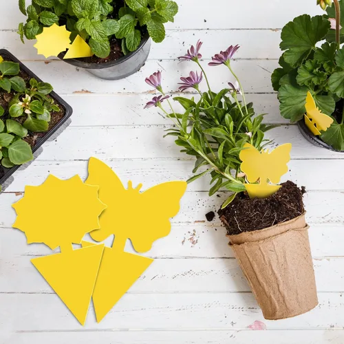 Miniatura 3 de Landisun - Trampas adhesivas para moscas de la fruta y moscas de los hongos, 24 unidades, para plantas de cocina de interior y exterior, para moscas