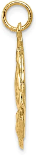 Miniatura 2 de Colgante de oro amarillo macizo de 14 quilates 1024in x 0748in