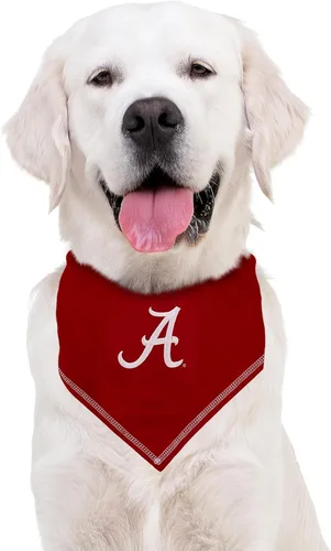 Miniatura 4 de NCAA Alabama Crimson Tide - Bandana con corbata, pequeña/mediana. Bandana para perro, babero para mascotas, gatos, perros, el mejor día del juego