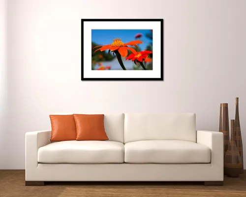 Miniatura 2 de Mexican Sunflowers Photograph - Matted Wall Art, Flower Photography, Garden Art, Botanical, Nature, Orange, Blue