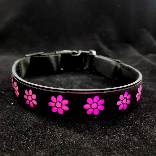 Miniatura 11 de Collar Super Dog para Perros (1, 1)