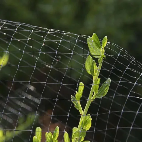 Miniatura 7 de Red de jardín de malla de 3/4 pulgadas para protección de plantas, malla de ciervos contra pájaros, ardillas, conejos, mapaches y más, protege