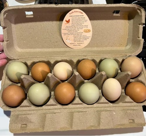 Miniatura 6 de Tarjetas de instrucciones de manejo de huevos de Fresh Farm – 2.7 x 3.5 pulgadas – Estilo en forma de huevos – Sellos de huevos para el cuidado