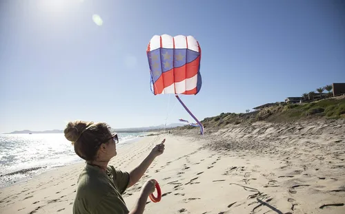 Miniatura 3 de In the Breeze 2980 Patriot Wave 7.5 Parafoil Kite, 28" W x 36" H x 10" D