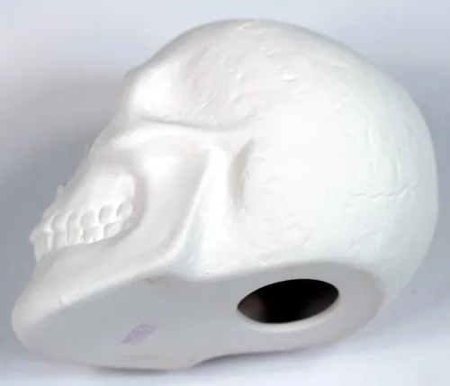Miniatura 8 de Creative Hobbies Bisque de cerámica listo para pintar, calavera de 5 pulgadas de largo x 4 pulgadas de alto, incluye cómo pintar tu propio folleto