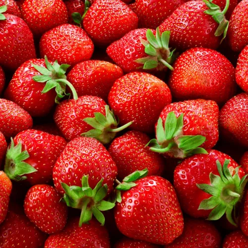 Albion Everbearing Strawberry Plants - Fruta muy firme, dulce, de alto rendimiento (20 plantas) no se puede enviar a California.