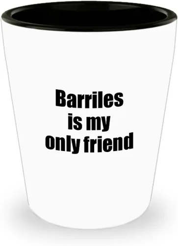 EzGift Funny Barriles Shot Glass Is My Only Friend Quote Musician Gift For Instrument Player 1.5 Oz Shotglass