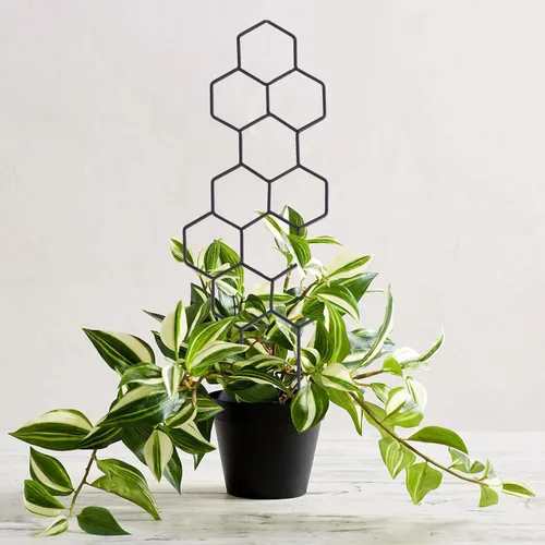 Miniatura 5 de WellSign Enrejado pequeño para plantas en maceta, enrejado de metal de 15.94 pulgadas para plantas trepadoras, maceta de interior, celosía