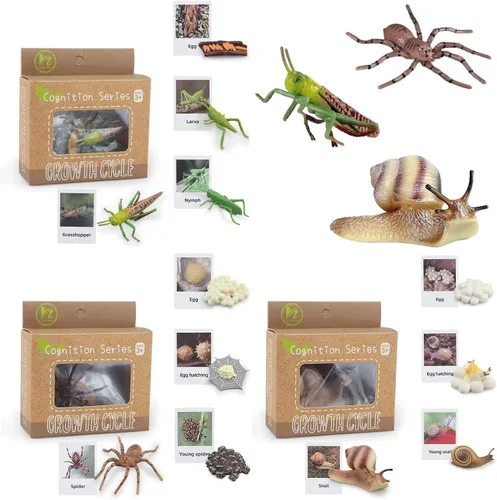Miniatura 6 de Montessori Life Cycle Animal Insect Figurines Juguetes de aprendizaje y educación, juguetes de insectos de plástico para niños, actividades