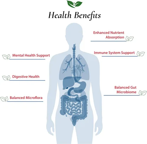 Miniatura 4 de Foods For Gut Lactobacillus Plantarum Probiotic Powder 400 mil millones de ufc Fabricado en Estados Unidos Sin aditivos Directo