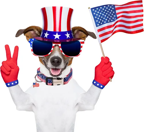 Miniatura 2 de ADOGGYGO Collar para perro con bandera americana, collares patrióticos del 4 de julio ajustables para mascotas, collares del Día de la Independencia