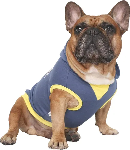 Miniatura 6 de iChoue - Disfraces para perros, I am a French Bulldog, suéteres divertidos, abrigos de invierno, sudaderas con capucha, Frenchie Pitbull Corgi, Pug