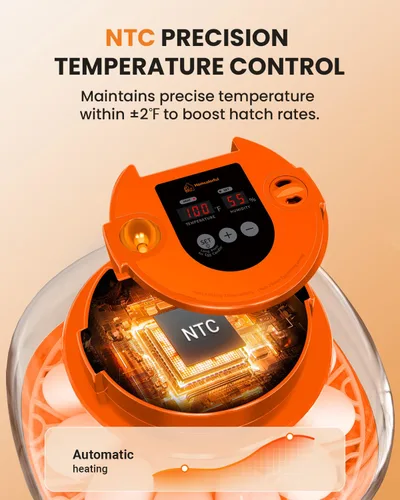 Miniatura 3 de Incubadora de 12 huevos con giro automático y control de humedad, incubadoras completamente automáticas con vela de huevos, kit educativo