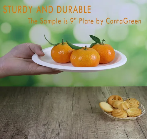 Miniatura 2 de CantaGreen Platos de postre pequeños compostables de 6 pulgadas, 100 platos de papel desechables biodegradables de caña de azúcar/bagazo y fibra