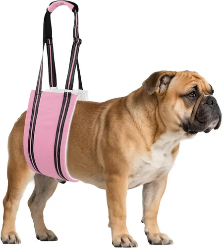 Miniatura 17 de AIITLE Eslingas mejoradas para perros pequeños – Arnés de soporte para patas traseras y cadera, ayuda de elevación de rehabilitación súper suave