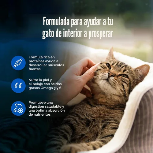 Miniatura 4 de Blue Buffalo Wilderness Nature's Evolutionary Diet - Alimento seco natural sin granos con alto contenido de proteínas, para gatos adultos, pollo