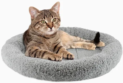 Miniatura 10 de Tapete de cama pequeño para gatos, cojín de felpa de 22 x 16 pulgadas con almohada circundante para perros pequeños a medianos, gatos, camas
