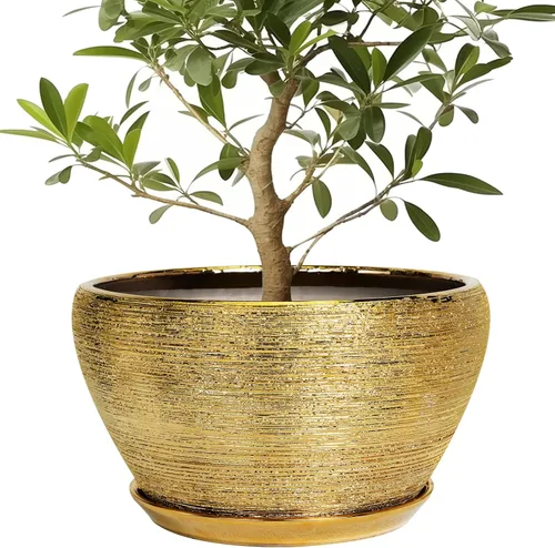 Miniatura 47 de Maceta de Cerámica Moderna con Esmalte para Suculentas con Agujero de Drenaje y Platillo, Maceta Redonda de 6 Pulgadas para Plantas de Flores