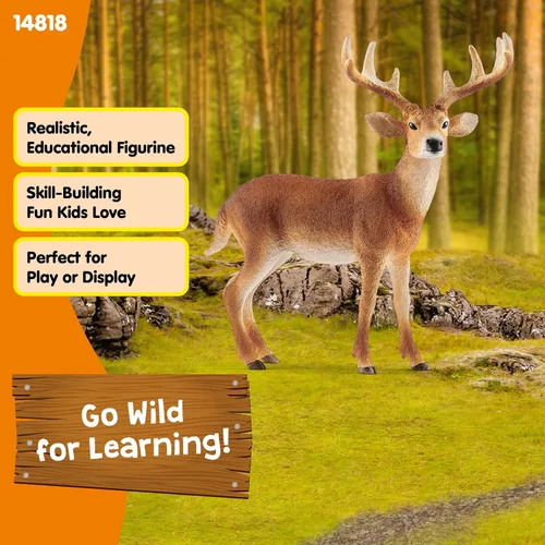 Miniatura 4 de Schleich Wild Life, Figura de Animal, Juguetes de Animales para Niños y Niñas de 3-8 Años de Edad, Venado de Cola Blanca, Edades 3+