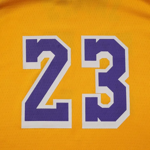Miniatura 4 de ICOMPY #23 Basketball Jersey Outfit Tank Top Track Shorts Sets Sportswear Clothes Sweatabands Head Band Gift For Boys Youths