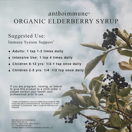 Miniatura 5 de Jarabe de saúco orgánico – Antoinmune – Suplemento de apoyo inmunológico para adultos y niños – USDA Organic, Fórmula de saúco negro ultra premium